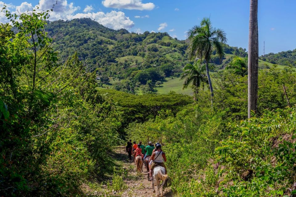 Puerto Plata: Zip Line Adventure and Horseback Ride - Multilingual Support and Pickup Options