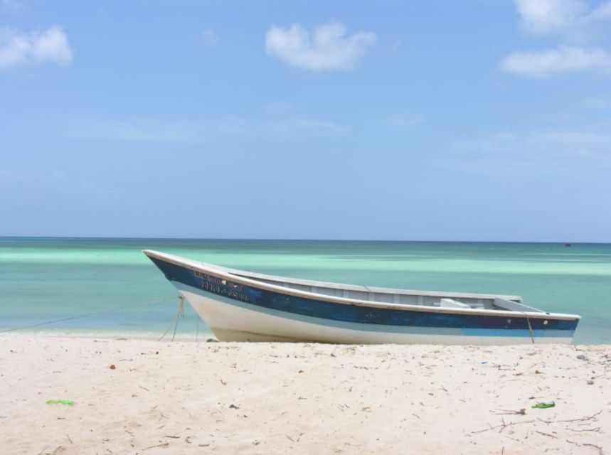 Bahía De Las Aguilas: Beach Day Trip by Boat - Common questions