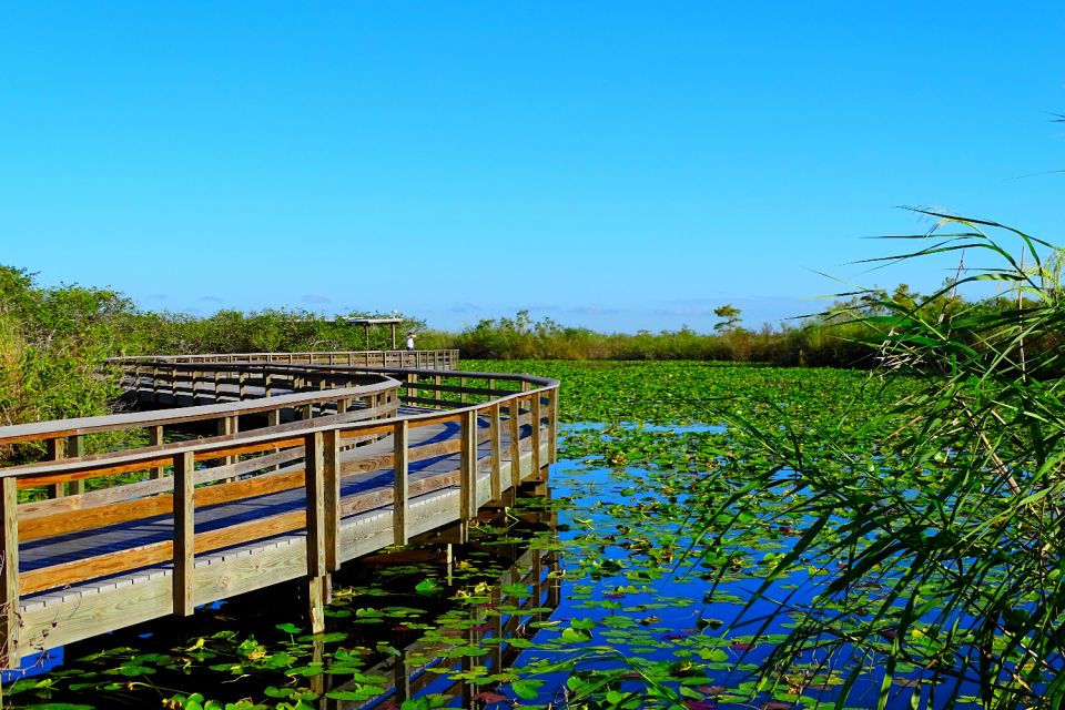 Everglades National Park: Self-Guided Driving Audio Tour - Tour Inclusions