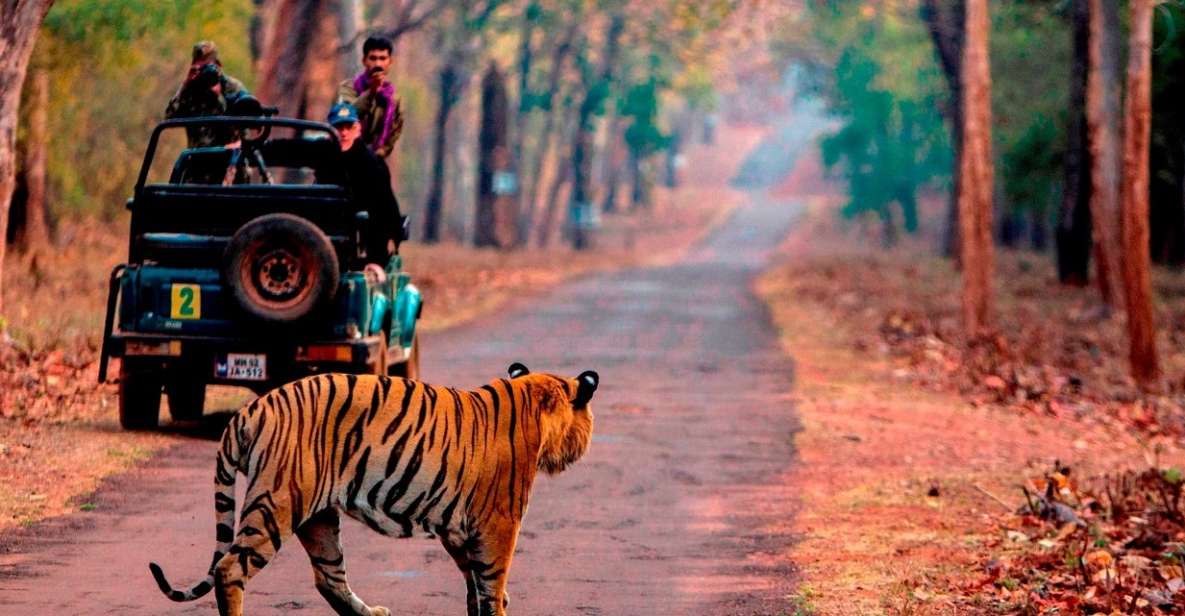 From Jaipur: Same Day Ranthambore Excursion - Experiential Features