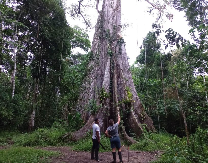 Iquitos: 4 Days and 3 Nights | Yanayacu River Expedition - Detailed Itinerary Overview