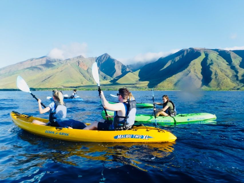 Maui: West Side Discovery Kayak & Snorkel From UKUMEHAME - Important Information