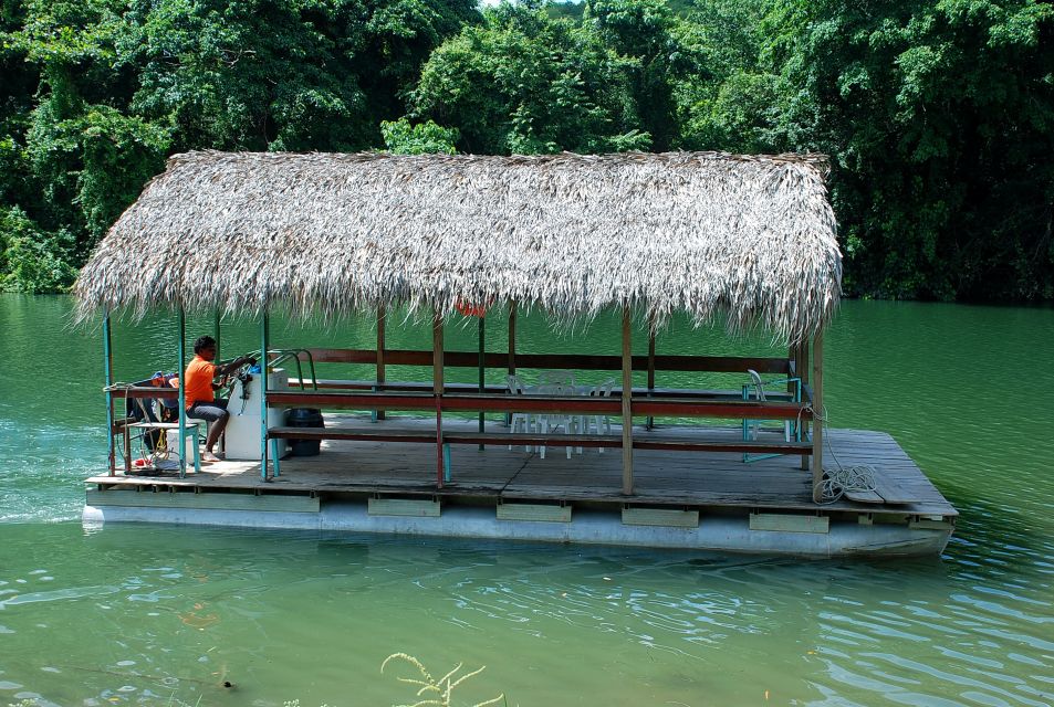 Full Day Buggy Safari With Lunch and Chavon River Tour - Customer Reviews