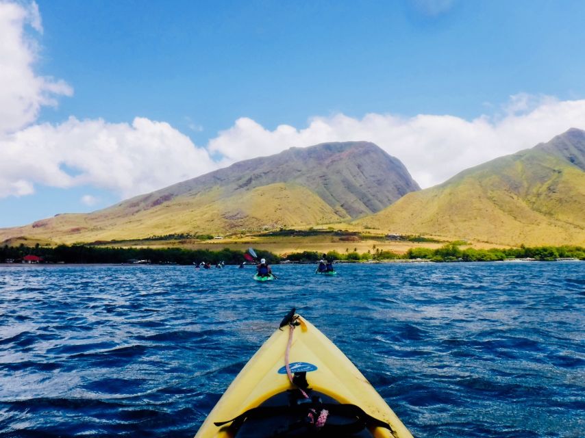 Maui: West Side Discovery Kayak & Snorkel From UKUMEHAME - Additional Information