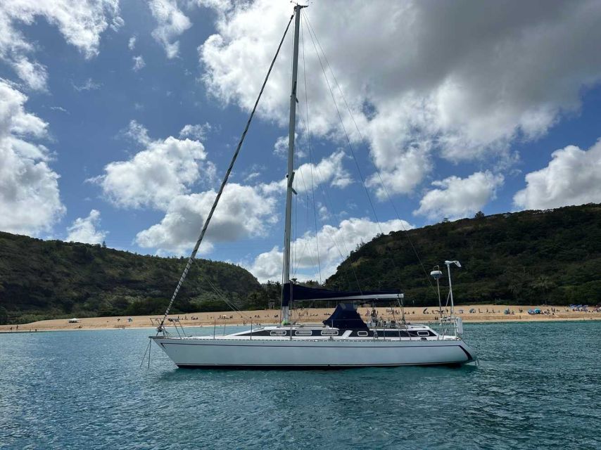 Oahu : Waikiki Sailing Turtle Snorkeling in Small Groups - Guarantee and Meeting Point