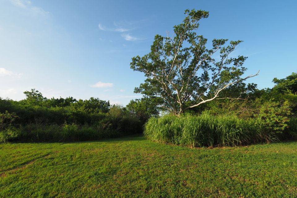 Everglades National Park: Self-Guided Driving Audio Tour - Benefits of Self-Guided Tours