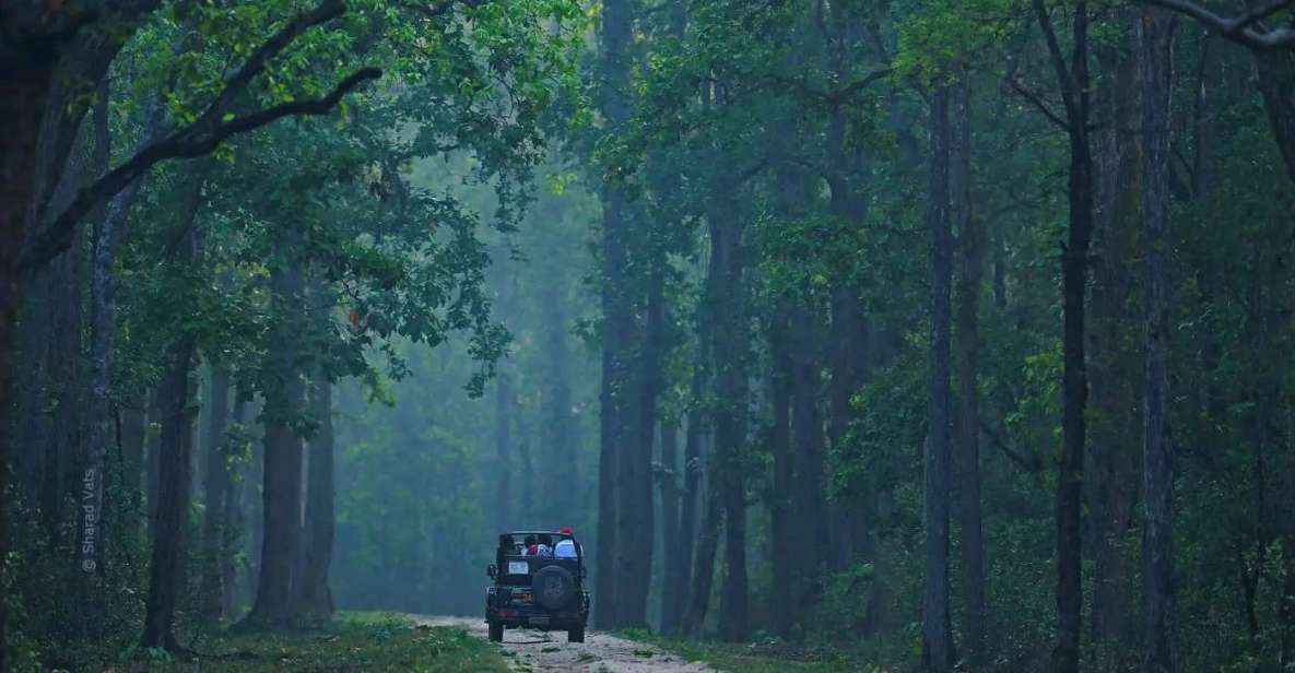 Kanha National Park: Open Jeep Tiger Safari in Kanha Kisli - Entry Points and Visitor Review