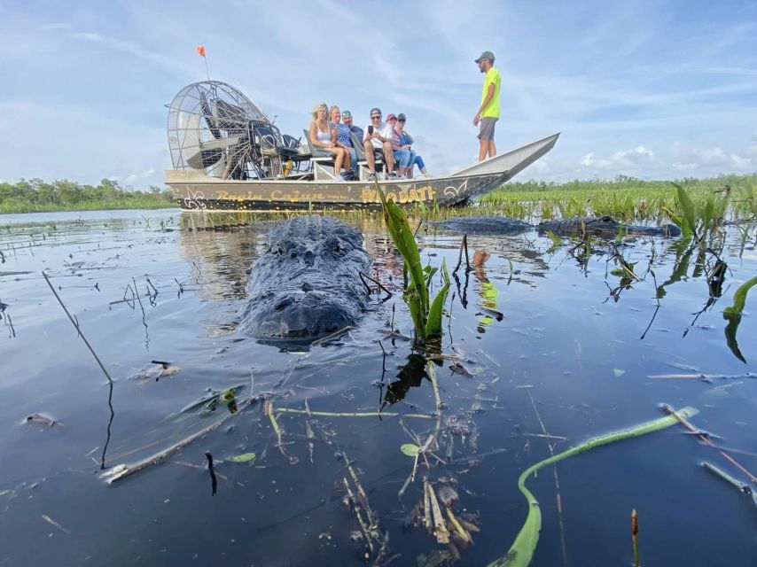 New Orleans: 10 Passenger Airboat Swamp Tour - Directions and Additional Details