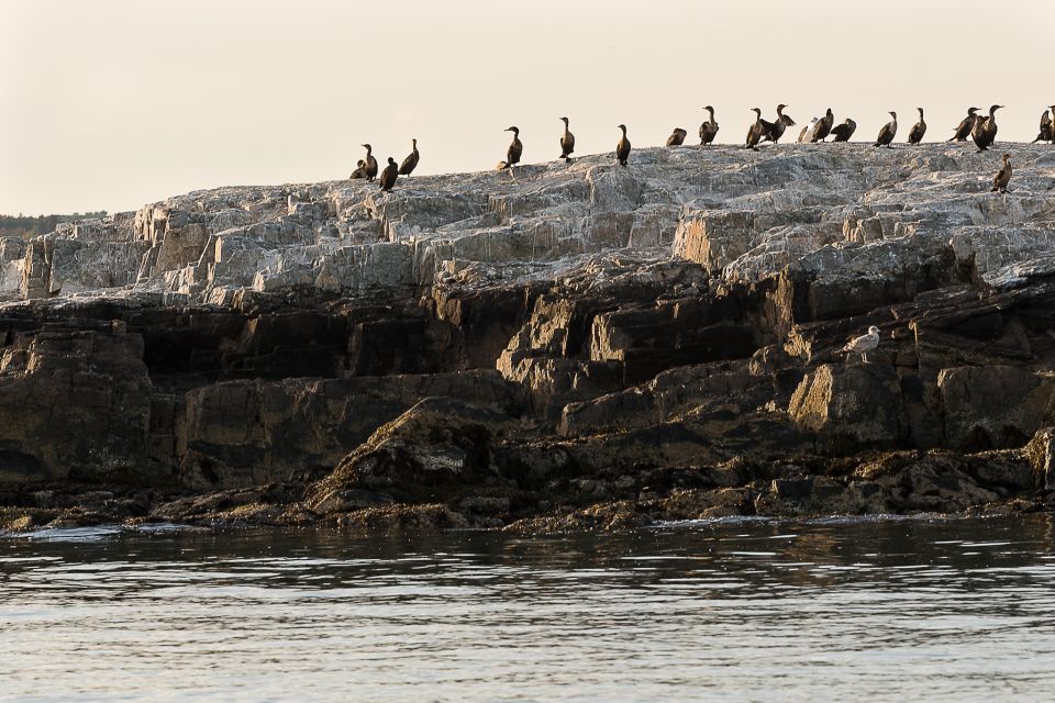 Portland: Sunset Lighthouse Cruise in Casco Bay With Drinks - Important Information