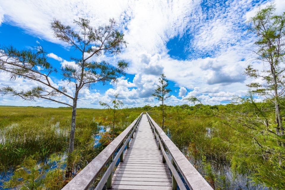 Everglades National Park: Self-Guided Driving Audio Tour - Tips for an Enjoyable Experience