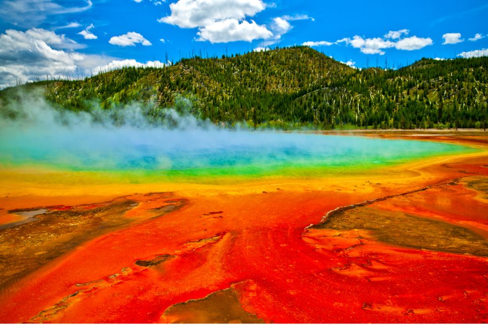 Yellowstone National Park: Self-Driving Audio Guided Tour - Sum Up