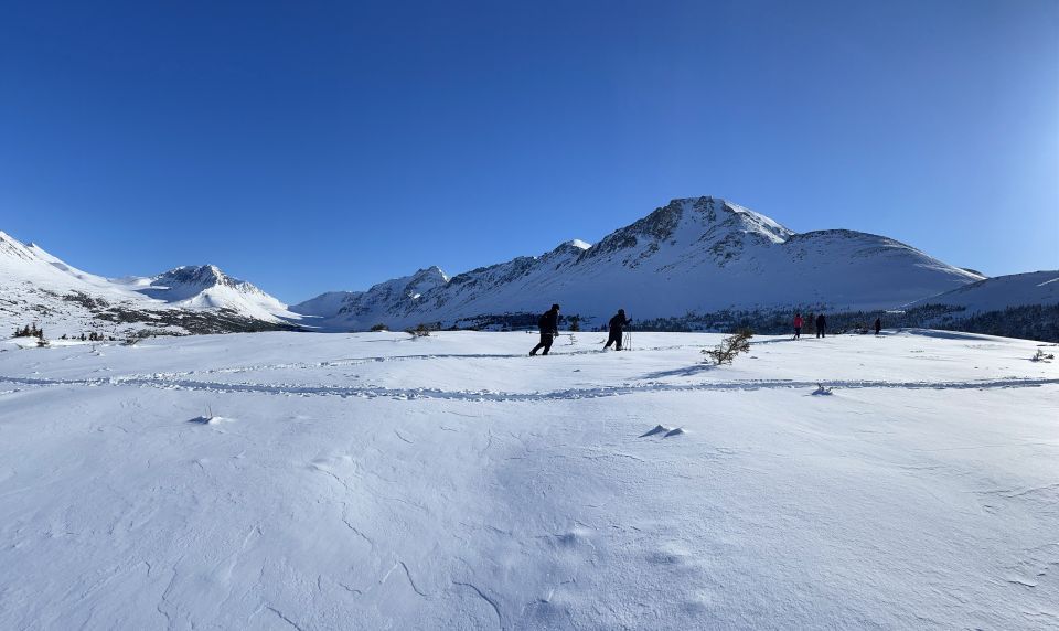 From Anchorage: Glen Alps Beginners Snowshoeing Adventure - Key Points