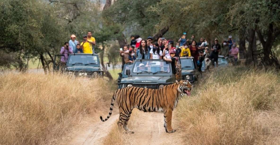 From Delhi: 6-Day Golden Triangle & Ranthambore Tiger Safari