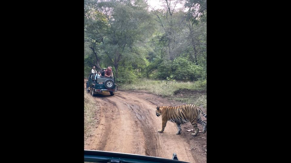 Jaipur to Ranthambore Day Trip