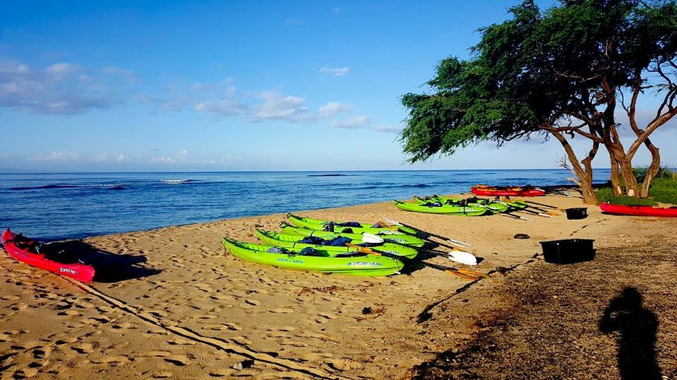 Maui: West Side Discovery Kayak & Snorkel From UKUMEHAME - Key Points