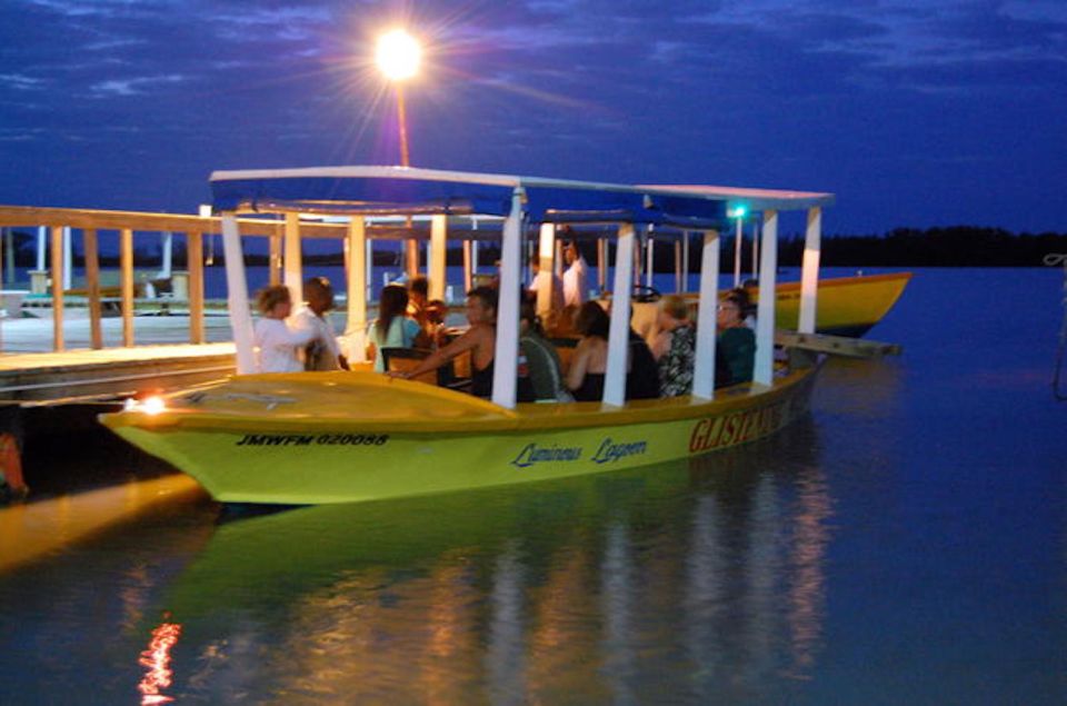 Montego Bay: Luminous Lagoon Night Tour by Boat - Key Points