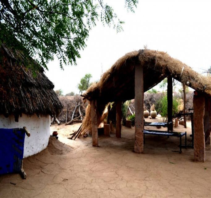 Private Tour: Bishnoi Village & Jodhpur City - Experience Highlights