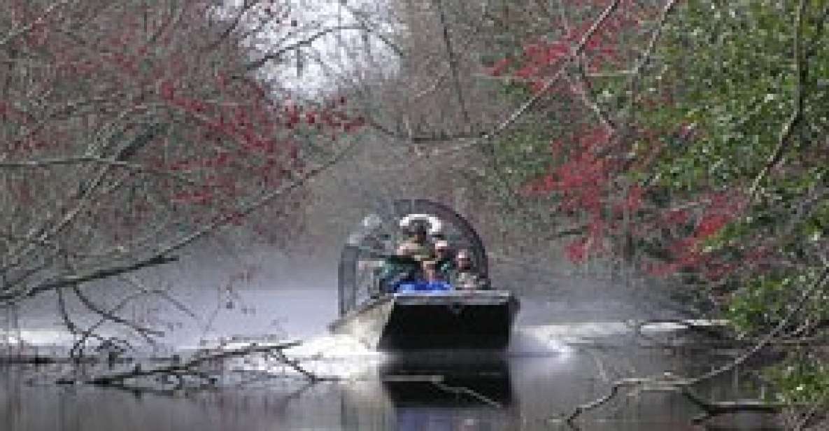 Airboat Tour of Louisiana Swamps - Tour Details