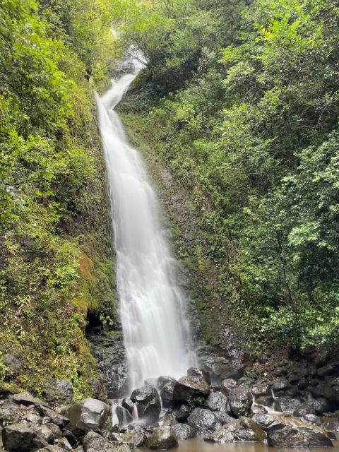 Hidden Hawaii Waterfall Hike & Beach Tour (Pickup + Photos!) - Tour Details