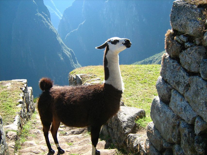 Tour Machu Picchu + Huayna Picchu Mountain - Tour Details