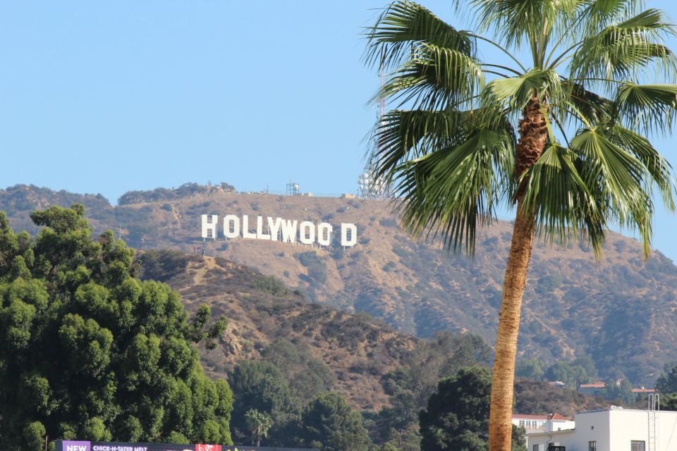 From Orange County: Hollywood and Beverly Hills Van Tour - Highlights