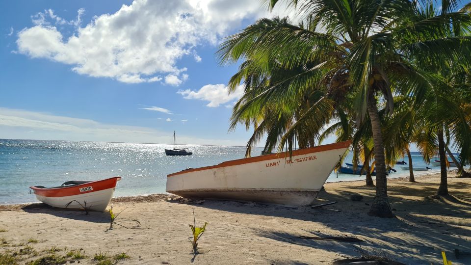 From Punta Cana: Saona Island Boat and Dune Buggy Combo Tour - Inclusions