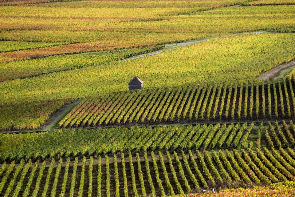 Private Wine Tour in Côte De Nuits and Côte De Beaune - Itinerary