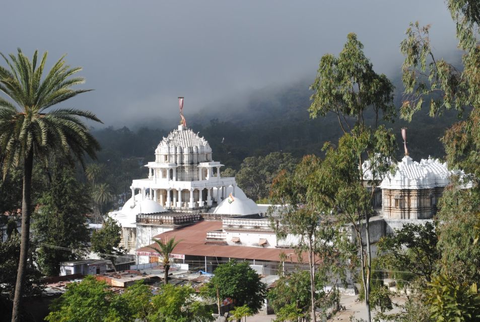 Udaipur: Mount Abu and Dilwara Temples Private Tour - Activity Description