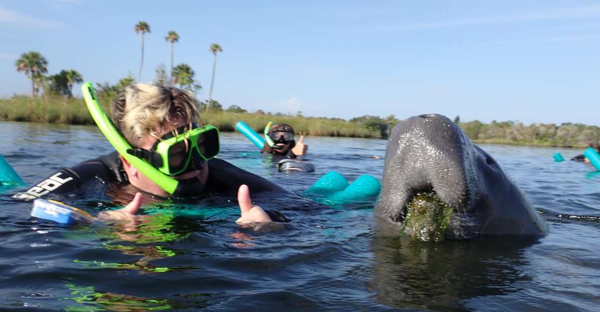 Crystal River: VIP Manatee Swim W/ In-Water Photographer - Experience Description