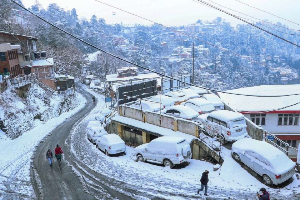 From Delhi: Delhi to Shimla Kufri Tour Package - Price and Inclusions