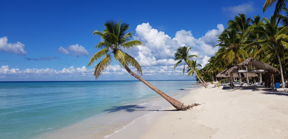 From Punta Cana: Saona Island Boat and Dune Buggy Combo Tour - Not Suitable For