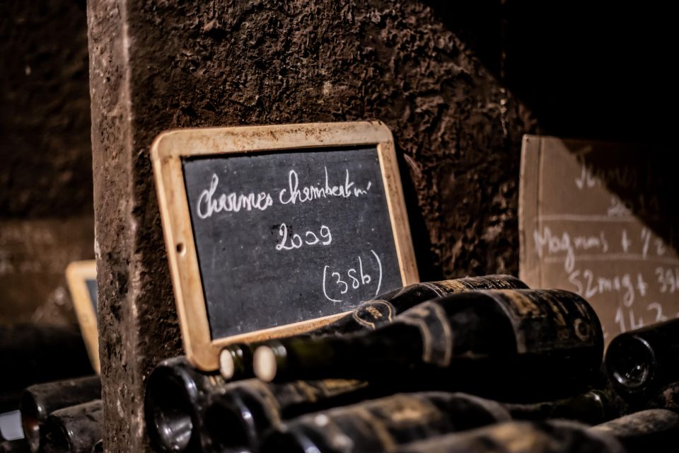 Private Wine Tour in Côte De Nuits and Côte De Beaune - Experience