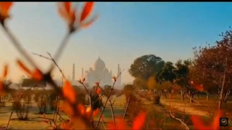 From Delhi: Sunrise Taj Mahal & Agra Day Tour by Private Car - Customer Reviews