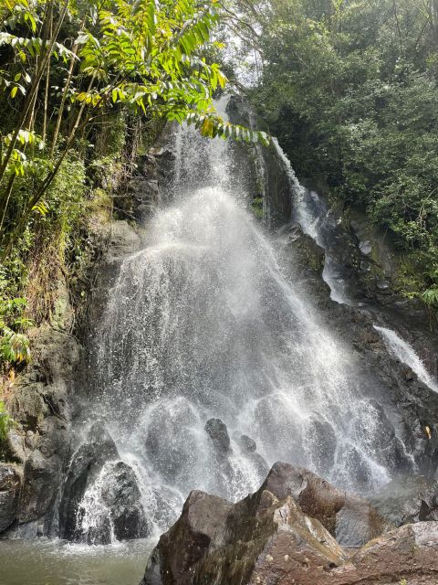 Hidden Hawaii Waterfall Hike & Beach Tour (Pickup + Photos!) - Customer Reviews