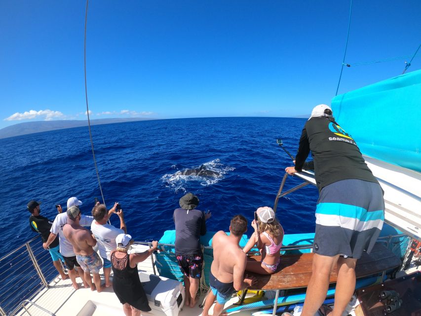 Kaanapali: Whale Watching Cruise With Open Bar - Tour Experience