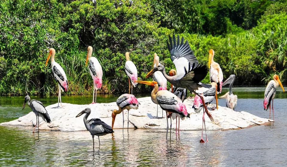 Keoladeo Bird Park Tour With One Way Transfer Jaipur to Agra - Sum Up