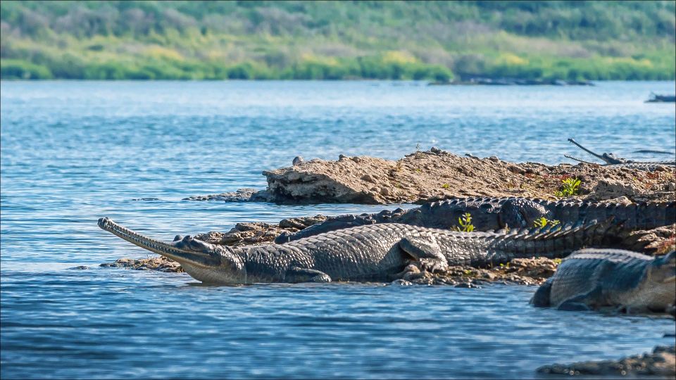 Day Excursion From Agra (Chambal Boat Safari) - Additional Details