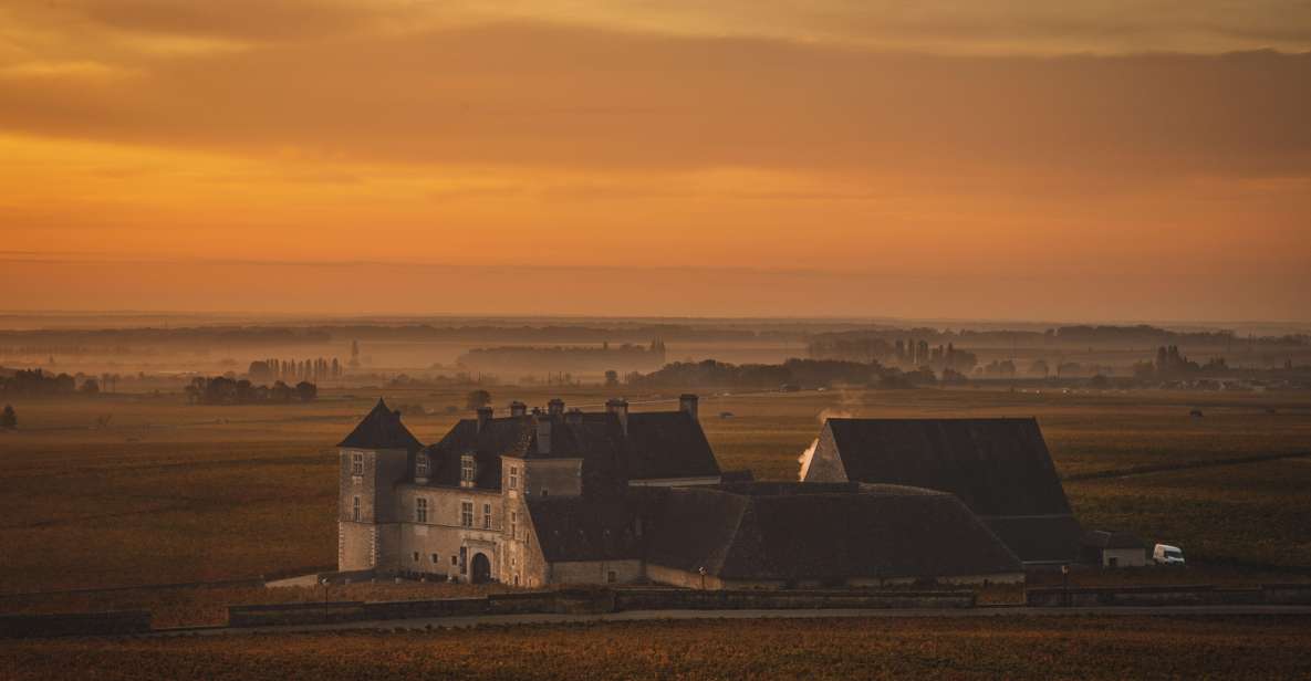 Private Wine Tour in Côte De Nuits and Côte De Beaune - Restrictions