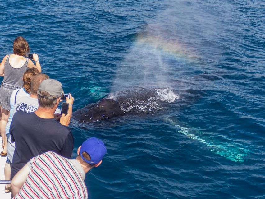 Dana Point Dolphin & Whale Watching With Underwater Viewing - Common questions