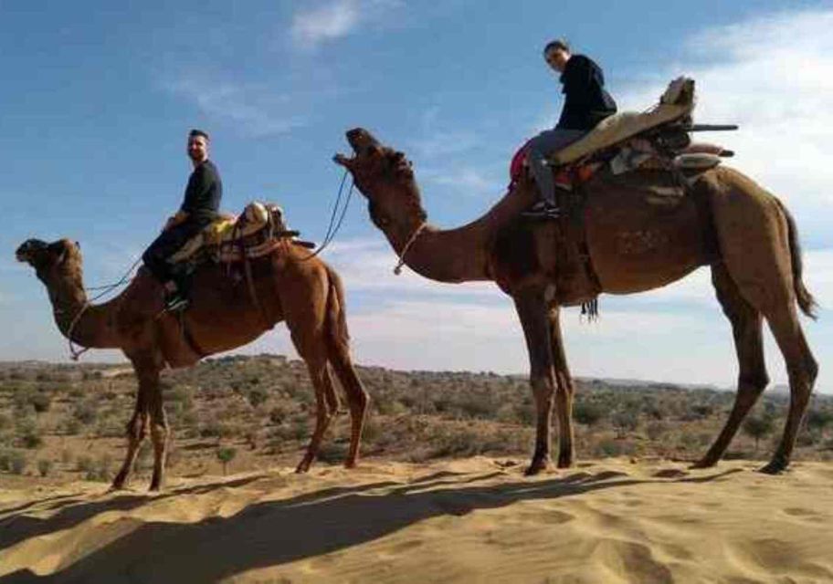 From Jaisalmer : Overnight Camping With Camel Safari - Common questions