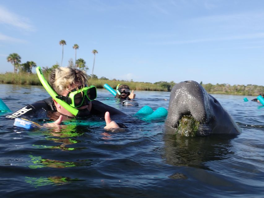 Crystal River: VIP Manatee Swim W/ In-Water Photographer - Common questions