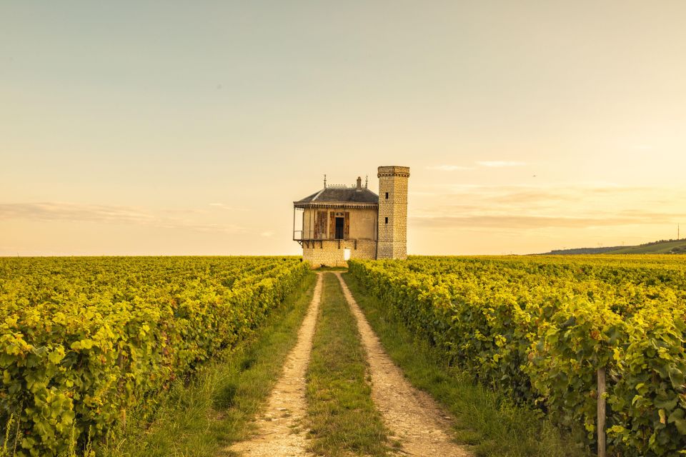 Private Wine Tour in Côte De Nuits and Côte De Beaune - Directions