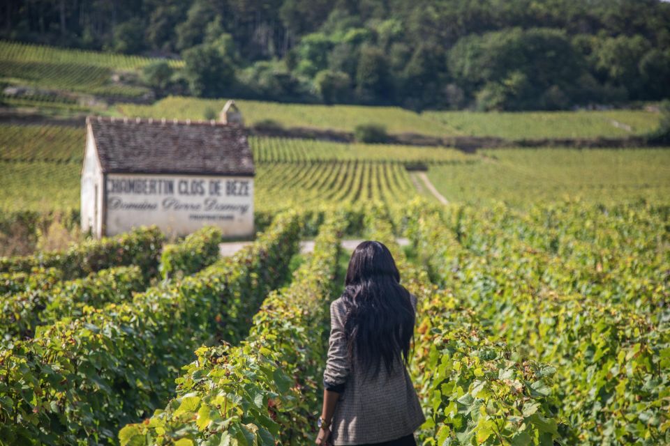 Private Wine Tour in Côte De Nuits and Côte De Beaune - Common questions