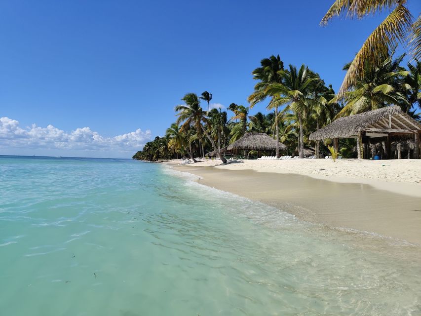 From Punta Cana: Saona Island Boat and Dune Buggy Combo Tour - Sum Up