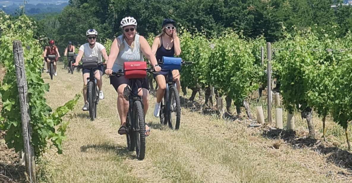 Angers: Cycling Tour With Wine Tastings ! - Key Points