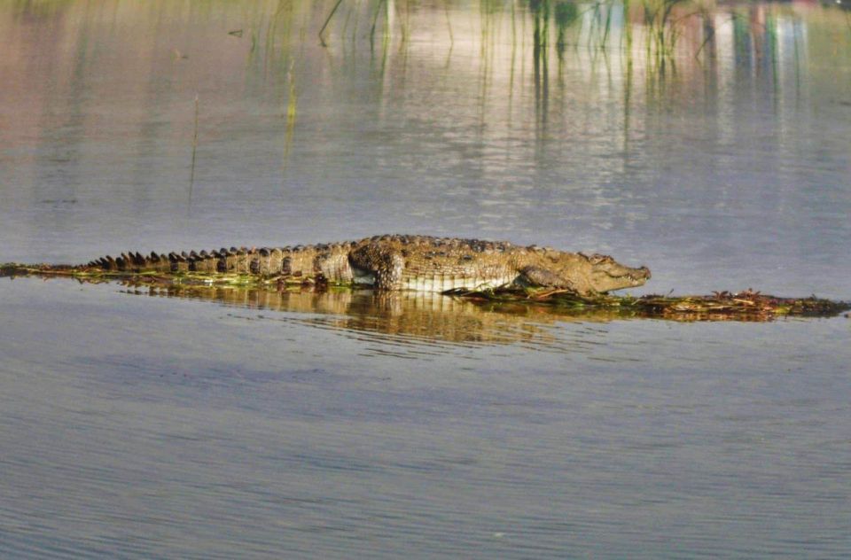 Day Excursion From Agra (Chambal Boat Safari)