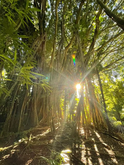 Hidden Hawaii Waterfall Hike & Beach Tour (Pickup + Photos!) - Key Points